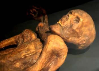 Homo juluensis: Scientists discovered a new species of