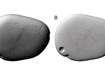 New 3D digital analysis maps Paleolithic engravings at Cova Matutano