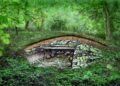 'Patchwork families' lived in Europe over 5,000 years ago, Neolithic DNA study finds