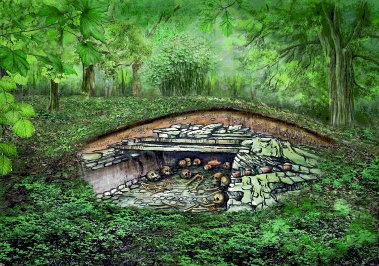 'Patchwork families' lived in Europe over 5,000 years ago, Neolithic DNA study finds