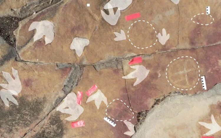Archaeologists discover a remarkable assemblage of petroglyphs and dinosaur footprints in Brazil