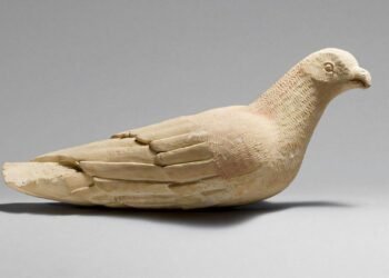 Ancient pigeons were already living alongside humans 3,400 years ago, study finds