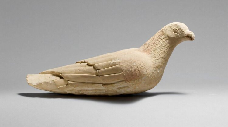 Ancient pigeons were already living alongside humans 3,400 years ago, study finds