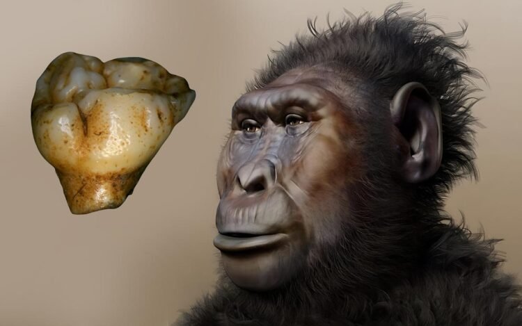 Mysterious pits on 2-million-year-old fossil teeth unlock clues to human evolution