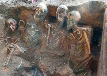 Mass grave of plague victims discovered in Nuremberg may be largest ever found in Europe
