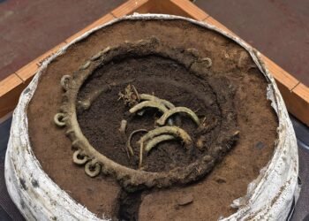 Organic plant remains discovered intertwined in 3,000-year-old Bronze Age bracelets