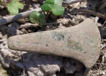 Poland’s oldest copper axe associated with Trypillia culture unearthed in Hrubieszów district