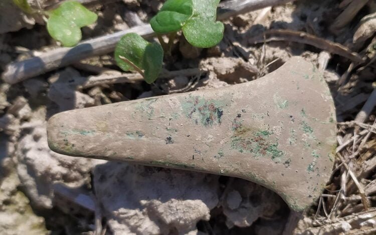 Poland’s oldest copper axe associated with Trypillia culture unearthed in Hrubieszów district