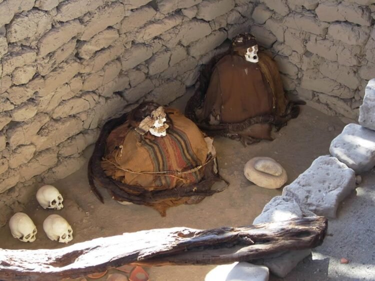 Ancient mummy surrounded by coca leaves unearthed in Peru's capital