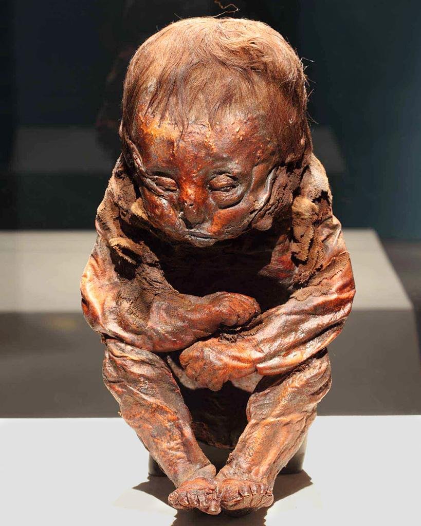 1,000-year-old pre-Inca mummy linked to Chancay culture unearthed during gas work in Lima