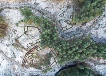 Ruins of pre-medieval township discovered in Scottish forest