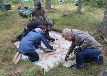 6500-year-old Stone Age cemetery discovered near Arctic Circle challenges preconceptions