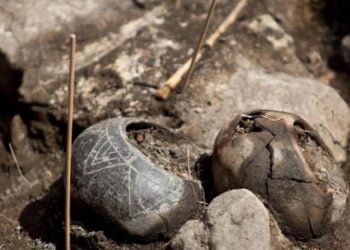 3,000-year-old priest's tomb and artifacts unearthed in northern Peru