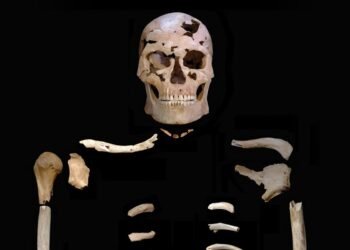 Earliest evidence of interpersonal violence: quartz projectile killed a man 12,000 years ago in Vietnam. Credit: C. M. Stimpson et al., Proceedings. Biological Sciences (2025)