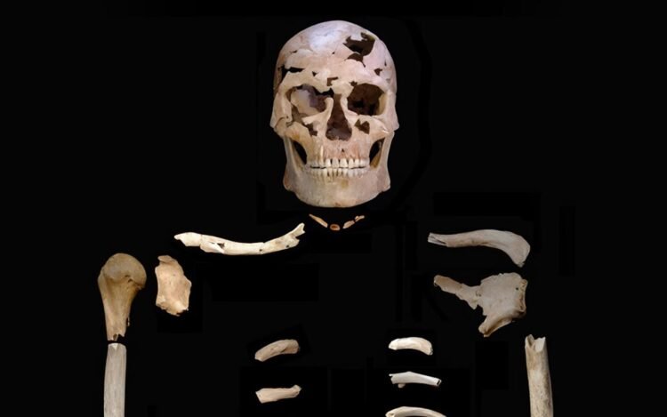 Earliest evidence of interpersonal violence: quartz projectile killed a man 12,000 years ago in Vietnam. Credit: C. M. Stimpson et al., Proceedings. Biological Sciences (2025)