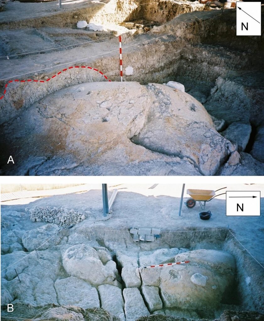 Prehistoric quicksand trap in Spain reveals doomed elephants and early ...