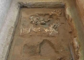 Rare sheep chariot found near mausoleum of China’s first emperor