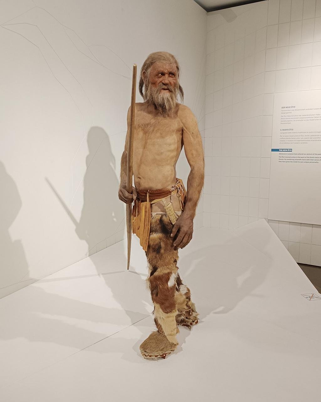 Reconstruction of what Ötzi would have looked like.