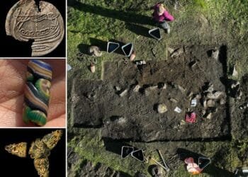 Archaeologists unearth rich Viking women’s graves in Norway with jewelry and coins