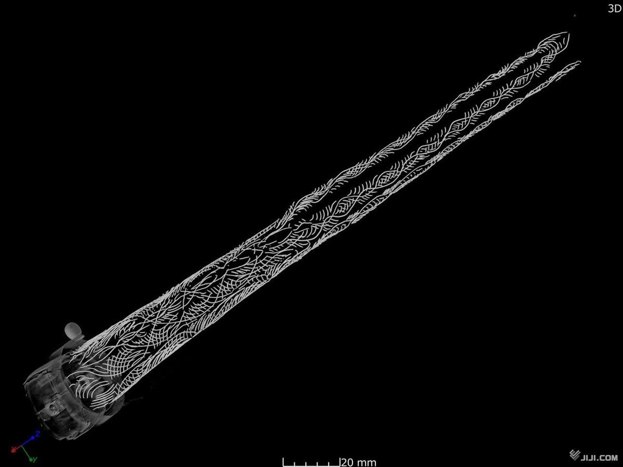 Ancient ritual spear from Japan’s sacred island reveals East Asia’s earliest gold-inlaid sheath