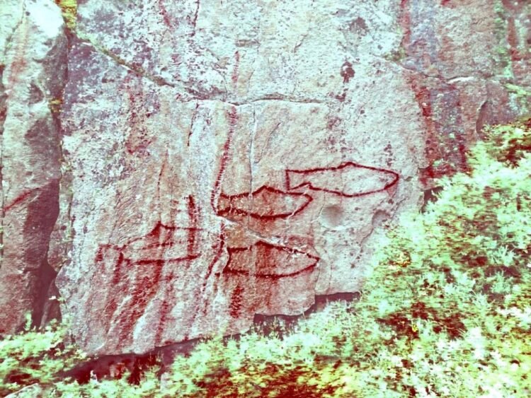 New Stone Age rock paintings discovered in Tingvoll, revealing a hidden prehistoric art landscape in Norway