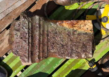 Roman altar dedicated to Jupiter emerges from Danube as record-low water levels expose riverbed in Hungary