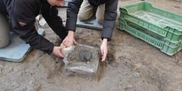 Rare 2,000-year-old Roman bread found at Vindonissa reveals early military life in Switzerland