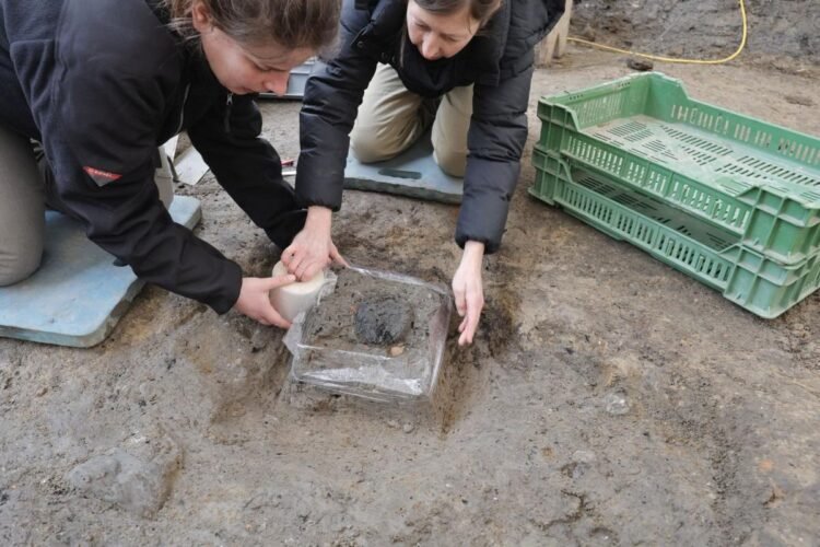 Rare 2,000-year-old Roman bread found at Vindonissa reveals early military life in Switzerland