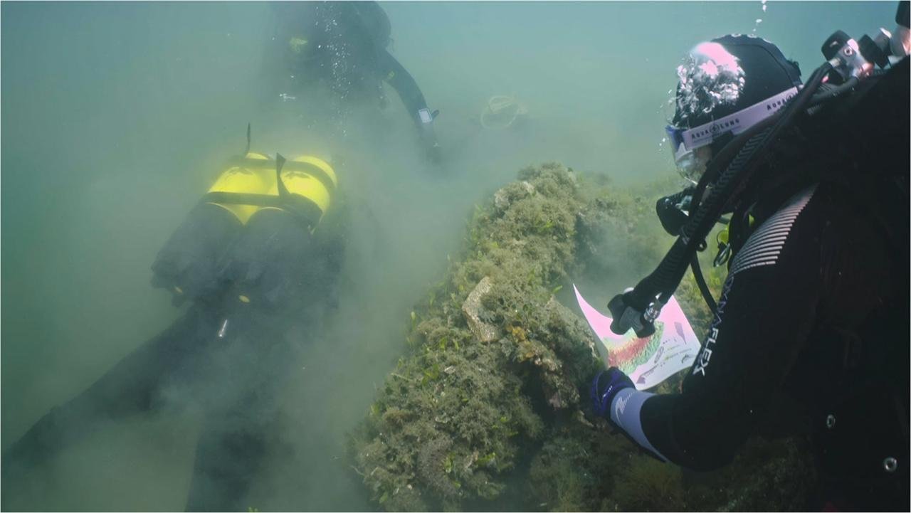 Ancient Roman breakwater found off Bacoli shows ingenious engineering at imperial fleet base