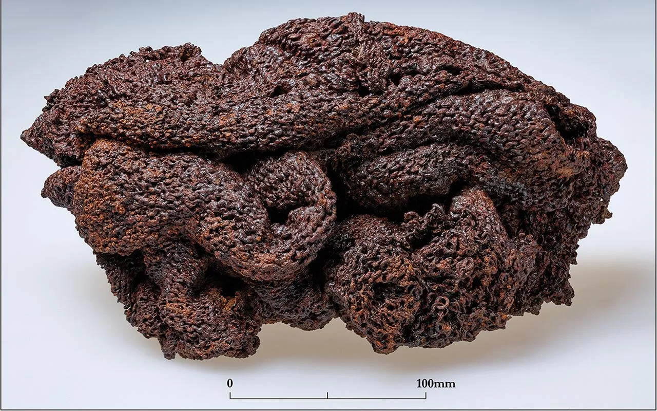 14-kilogram Roman chainmail found near Bonn reveals local craftworkers’ role in armor repair