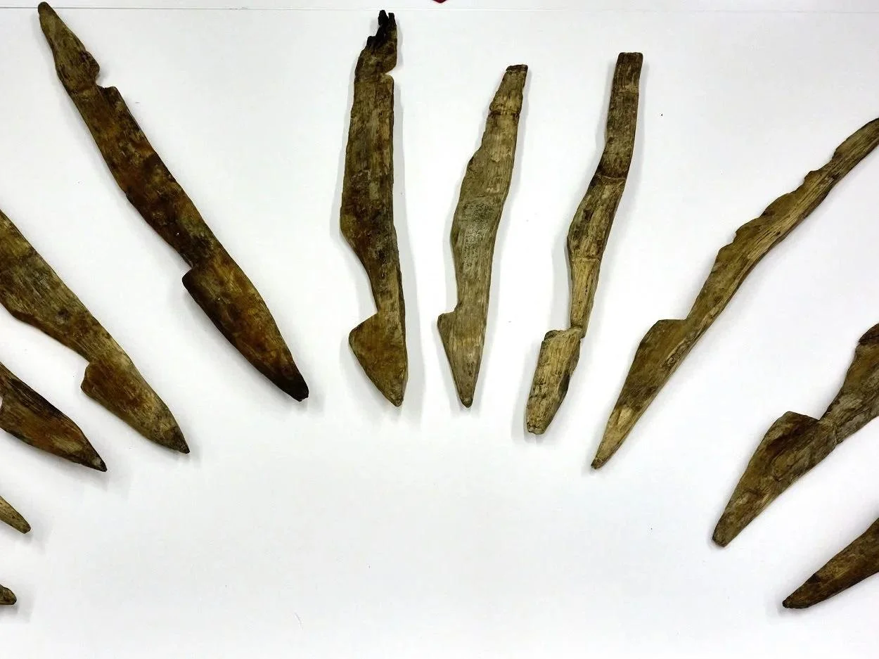 Roman defensive spike discoveries unveiled in Germany