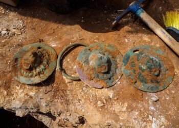 1,900-year-old Roman-era lion-head discs reveal burial customs and cultural symbolism
