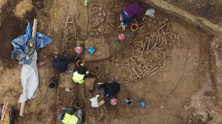 Roman-era battlefield mass grave unearthed beneath Vienna soccer field