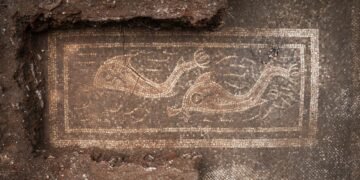 Rare Roman mosaics found near ancient Ovilava in Austria reveal luxury villa with dolphin artwork