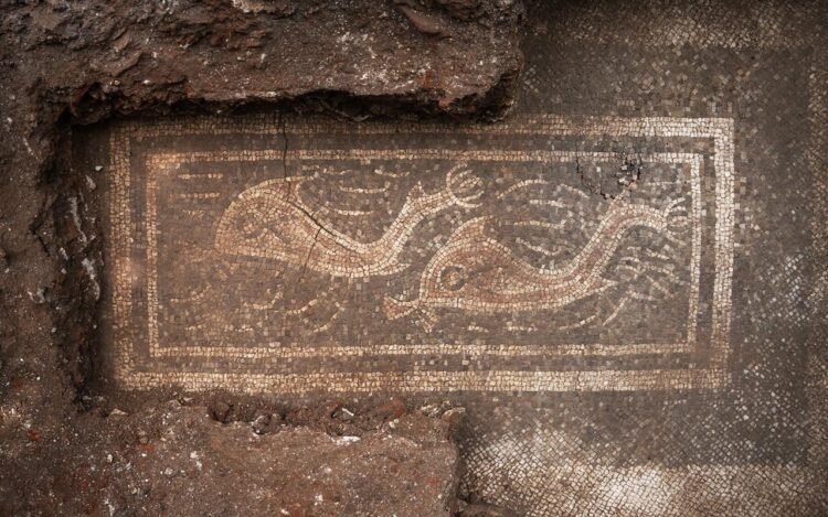 Rare Roman mosaics found near ancient Ovilava in Austria reveal luxury villa with dolphin artwork