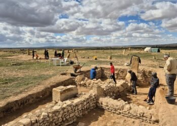 Second-largest Roman Empire olive oil production complex discovered in Tunisia