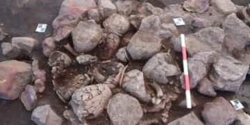 Major Roman pottery industry unearthed in Dorset, England