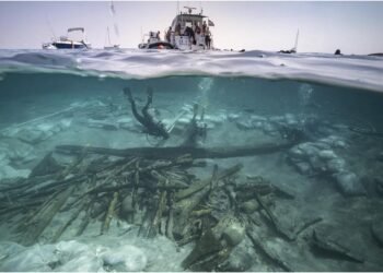 Ancient Roman shipwreck reveals hidden secrets of waterproofing and Mediterranean repairs
