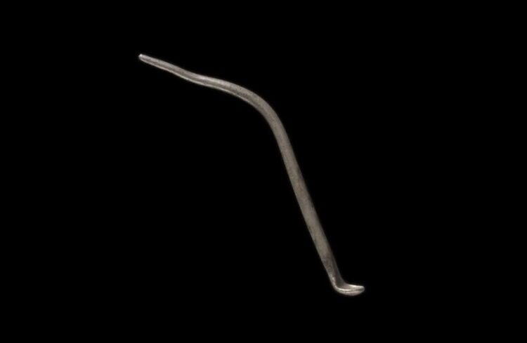 Ancient Roman 'ligula' or 'toilet spoon' unearthed in South Wales