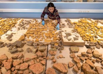 2,000-year-old wall paintings revealed from ‘Beverly Hills of Roman London’ Credit: MOLA