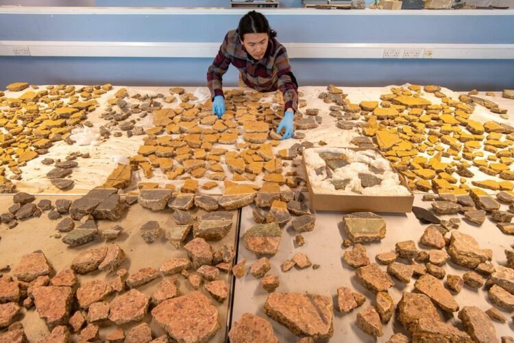 2,000-year-old wall paintings revealed from ‘Beverly Hills of Roman London’ Credit: MOLA