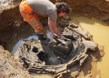 Exceptionally preserved Roman wicker well with ladder unearthed in Norfolk