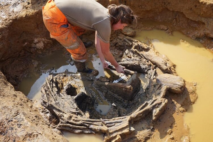 Exceptionally preserved Roman wicker well with ladder unearthed in Norfolk