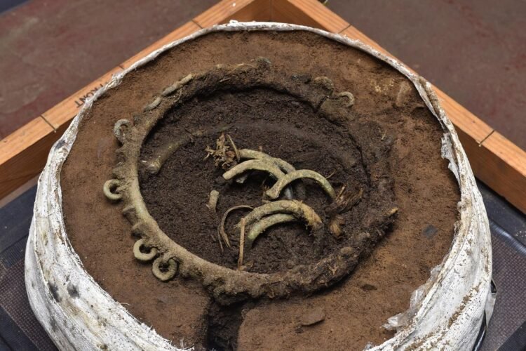 Secrets of 3,000-year-old Bronze Age hoard from Rosemarkie revealed