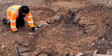 Ancient rural settlement in Fordingbridge reveals Iron Age to Roman transition, daily life, and industry