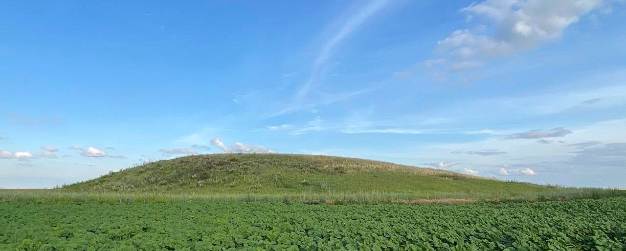 Sacrificial complex unearthed in Southern Urals reveals elite nomadic rituals