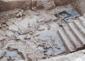 Isotope analysis of sacrificial horses uncovers long-distance animal networks in Iron Age Spain