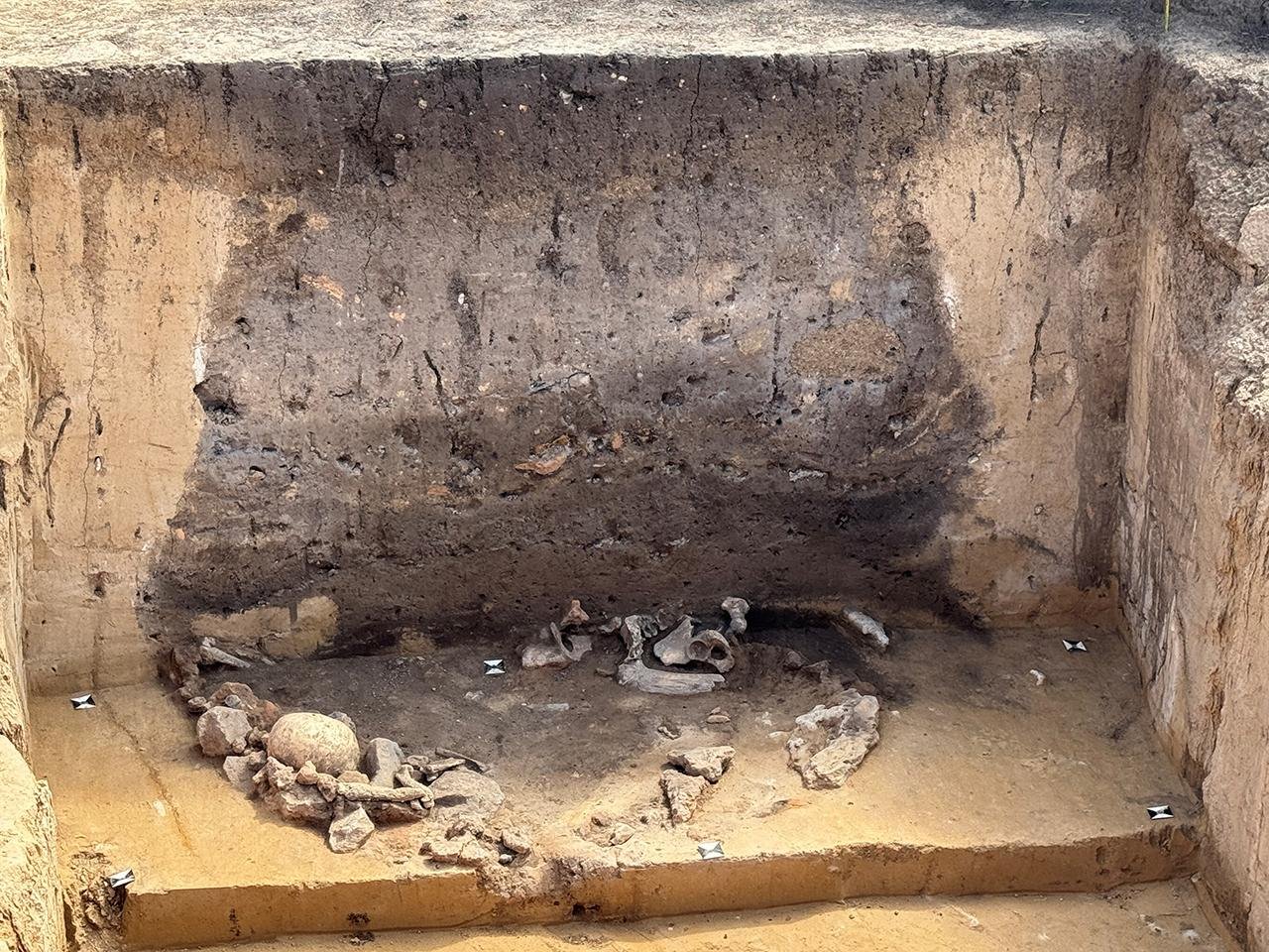 5,000-year-old Salzmünde ritual pits unearthed in Germany reveal mysterious Neolithic ceremonies