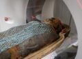 CT scans of ancient Egyptian mummies reveal lifespans, health, and daily life of priests