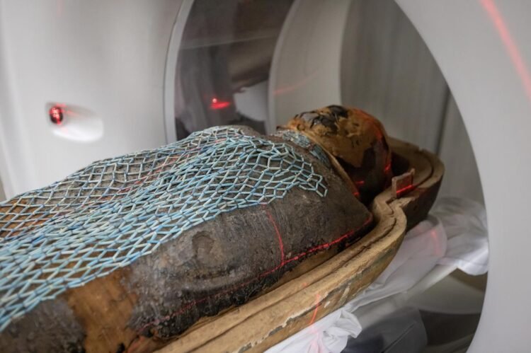 CT scans of ancient Egyptian mummies reveal lifespans, health, and daily life of priests